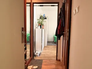 Prodej bytu 1+kk, Havířov, Karolíny Světlé, 22 m2