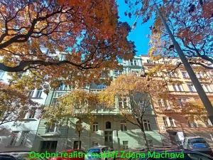 Pronájem bytu 2+kk, Praha - Vinohrady, U Kanálky, 45 m2