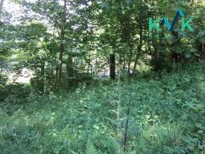 Prodej pozemku, Nejdek, 3489 m2