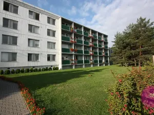 Pronájem bytu 2+1, Olomouc, Železniční, 60 m2