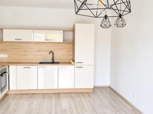 Pronájem bytu 2+kk, Plzeň - Východní Předměstí, Papírnická, 59 m2
