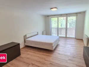 Pronájem rodinného domu, Zlín, Na Výsluní, 270 m2