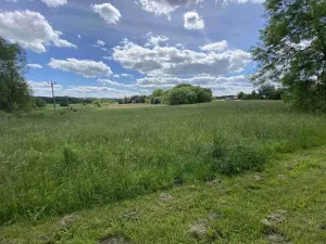Dražba pozemku pro bydlení, Slavonice, 1281 m2