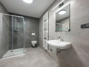 Pronájem bytu 2+kk, Polepy, 45 m2