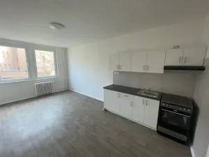Pronájem bytu 1+kk, Ústí nad Labem, Masarykova, 26 m2