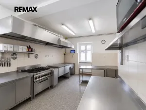 Prodej restaurace, Svinaře, Zelená Hora, 500 m2