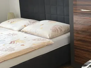 Prodej ubytování, Hradec Králové, Všehrdova, 260 m2