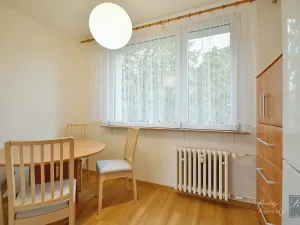 Pronájem bytu 2+1, Ústí nad Labem, Větrná, 60 m2