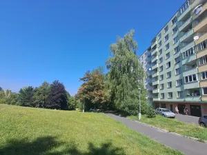 Prodej bytu 1+1, Sokolov, Švabinského, 49 m2