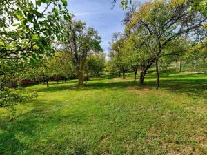 Prodej rodinného domu, Březová, 74 m2