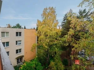 Pronájem bytu 2+kk, Brno - Žabovřesky, Foerstrova, 62 m2