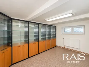 Prodej rodinného domu, Hodonín, Brandlova, 235 m2