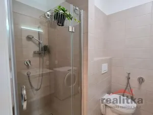 Pronájem bytu 1+kk, Opava - Předměstí, Provaznická, 35 m2
