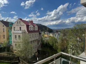 Prodej bytu 2+kk, Karlovy Vary, Libušina, 88 m2