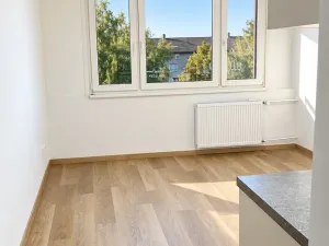 Pronájem bytu 1+kk, Písek - Budějovické Předměstí, Harantova, 20 m2