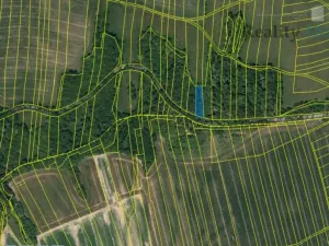 Prodej lesa, Hradec nad Moravicí, 9624 m2