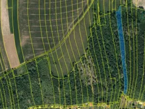 Prodej lesa, Hradec nad Moravicí, 9624 m2