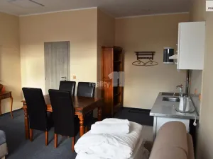 Prodej ubytování, Teplice nad Metují, Horní, 685 m2