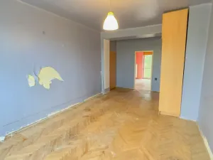 Prodej bytu 2+1, Plzeň - Lobzy, Blatenská, 52 m2