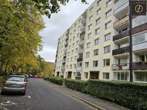 Prodej podílu 1/2 bytu 1+1, Ústí nad Labem, Maková, 33 m2