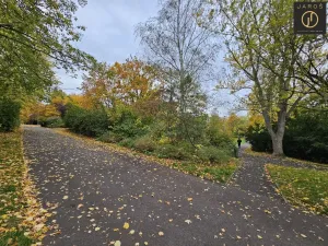 Prodej podílu 1/2 bytu 1+1, Ústí nad Labem, Maková, 33 m2