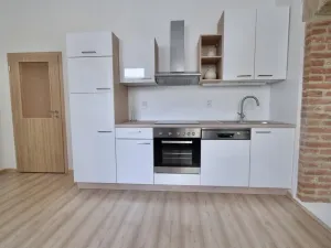 Pronájem bytu 1+kk, Brno - Zábrdovice, Vlhká, 27 m2