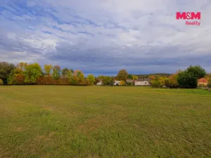 Prodej louky, Lužany - Zelené, 5700 m2