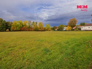 Prodej louky, Lužany - Zelené, 5700 m2
