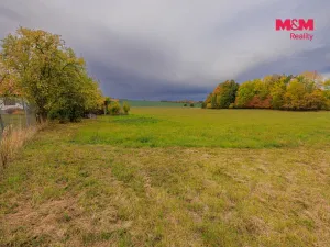 Prodej louky, Lužany - Zelené, 5700 m2