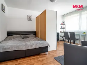 Prodej bytu 1+kk, Pardubice - Zelené Předměstí, Palackého třída, 31 m2