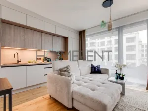 Pronájem bytu 2+kk, Praha - Nusle, Závišova, 45 m2