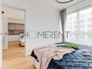 Pronájem bytu 2+kk, Praha - Nusle, Závišova, 45 m2