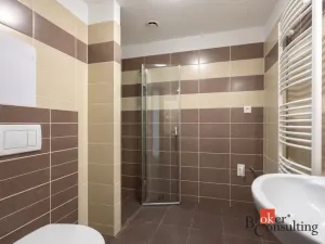 Prodej bytu 2+kk, Plzeň - Severní Předměstí, Na Chmelnicích, 59 m2