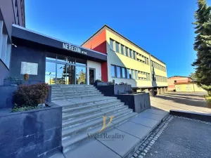 Pronájem kanceláře, Olomouc, Jožky Jabůrkové, 20 m2