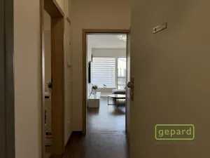 Pronájem bytu 1+1, Olomouc, Edmunda Husserla, 41 m2
