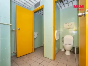 Pronájem kanceláře, Pardubice - Zelené Předměstí, 28 m2