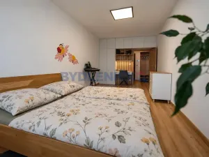 Prodej bytu 2+kk, České Budějovice, České Vrbné, 71 m2