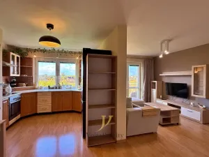 Pronájem bytu 2+kk, Olomouc, Přichystalova, 55 m2