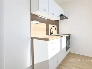 Pronájem bytu 1+1, Most, Růžová, 26 m2