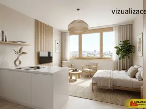 Prodej bytu 1+kk, Brno - Lesná, 23 m2