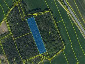 Prodej lesa, Ostřetín - Vysoká u Holic, 5528 m2