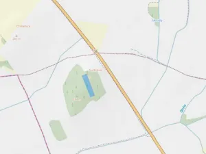 Prodej lesa, Ostřetín - Vysoká u Holic, 5528 m2