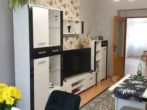 Prodej bytu 3+1, Teplice, Jankovcova, 98 m2