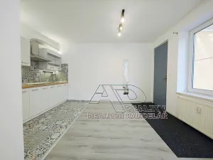 Prodej bytu 1+kk, České Budějovice, E. Beneše, 34 m2