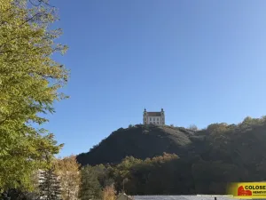 Prodej pozemku pro bydlení, Moravský Krumlov, Palackého, 343 m2