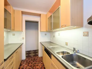 Pronájem vícegeneračního domu, Praha - Libeň, Na Jabloňce, 330 m2