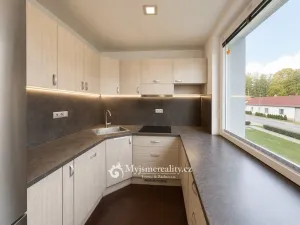 Prodej bytu 4+1, Břežany, 93 m2