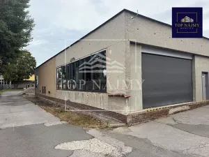 Pronájem skladu, Ostrava, Novinářská, 321 m2