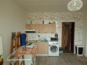 Pronájem bytu 1+1, Horní Bříza, Jedlová, 36 m2