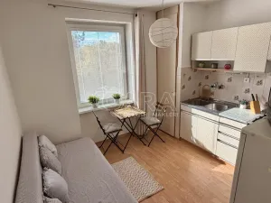 Prodej bytu 1+1, Plzeň - Lobzy, Nad Úslavou, 35 m2